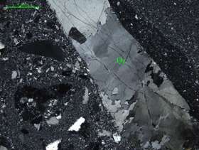 含角砾岩屑硅质岩