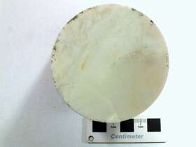 细粒石英岩
（石英质玉）