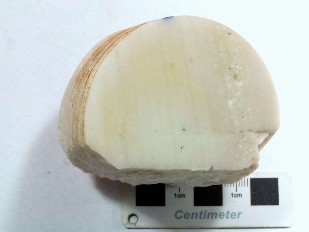 显微-细粒石英岩
（石英质玉）