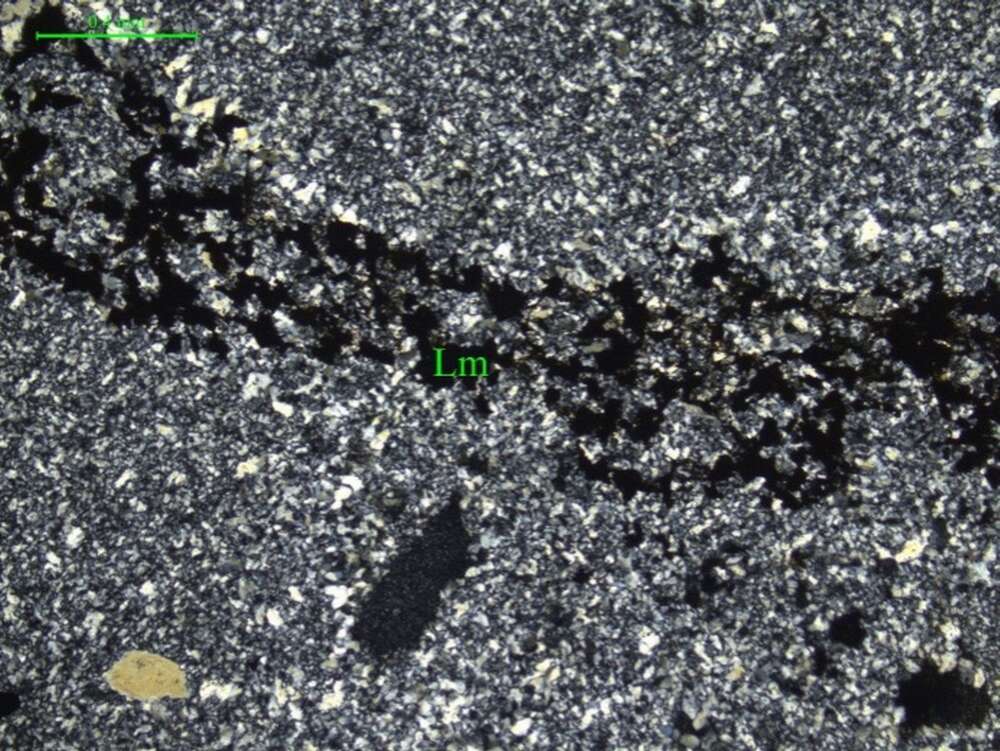 含岩屑角砾显微粒状石英岩