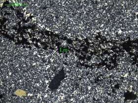 含岩屑角砾显微粒状石英岩