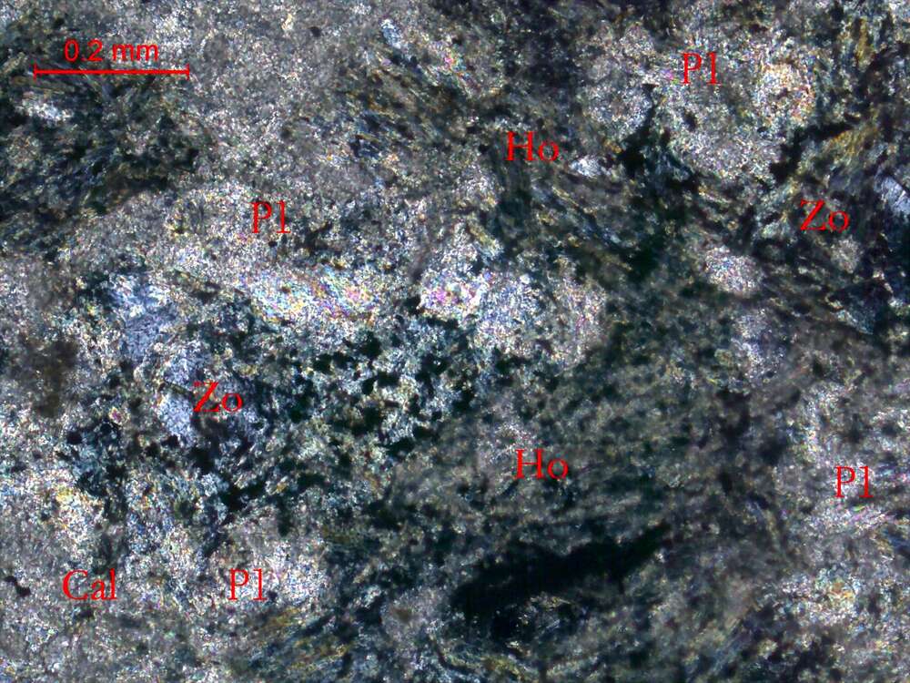 全蚀变细粒闪长岩
