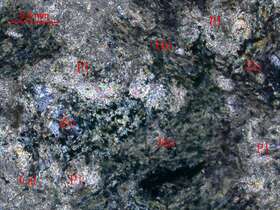 全蚀变细粒闪长岩