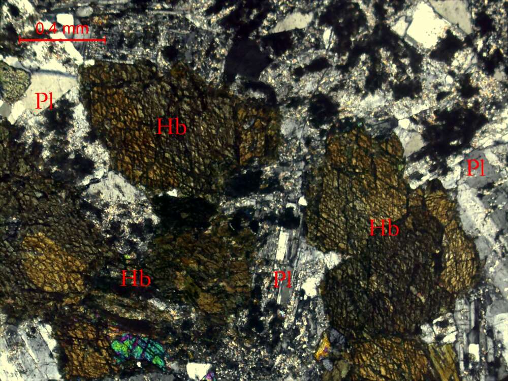 蚀变细粒含石英闪长岩
