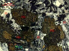 蚀变细粒含石英闪长岩