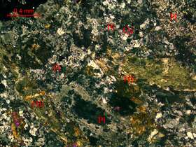 蚀变含石英闪长玢岩