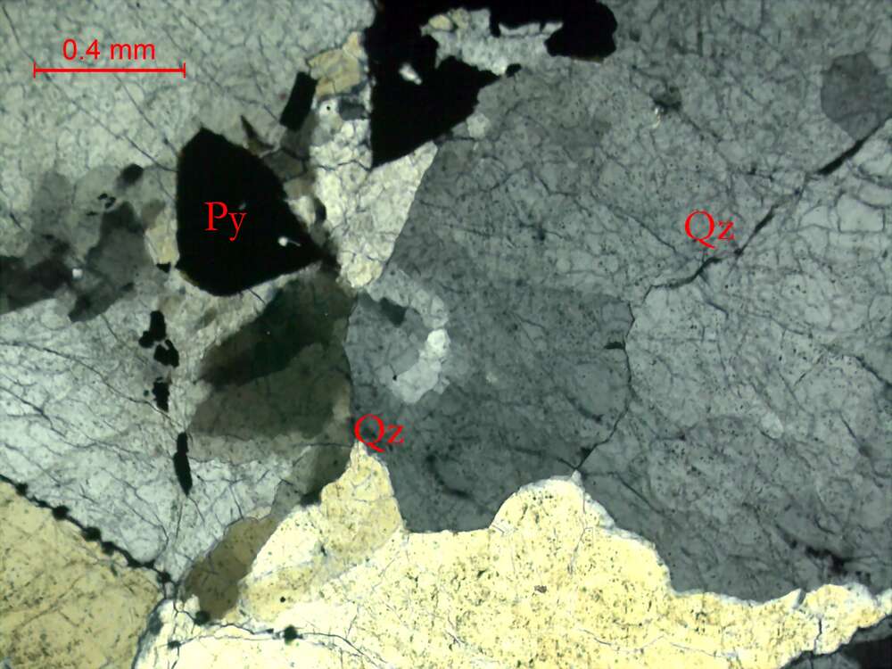 含黄铁矿石英脉