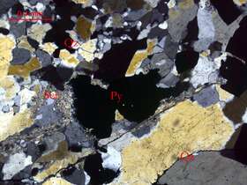 含黄铁矿石英脉