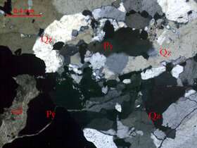 含黄铁矿石英脉