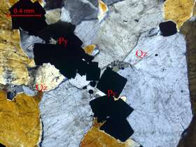 含黄铁矿石英脉