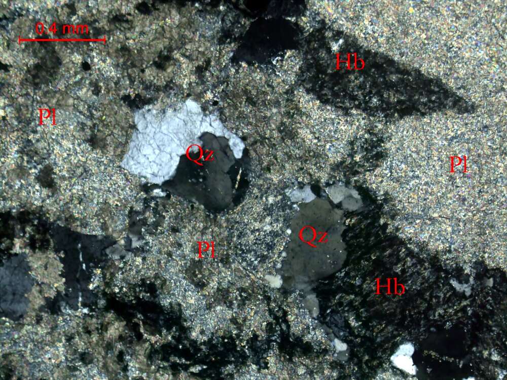 強蚀变细粒石英闪长岩