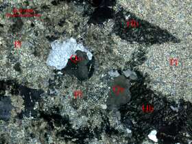強蚀变细粒石英闪长岩