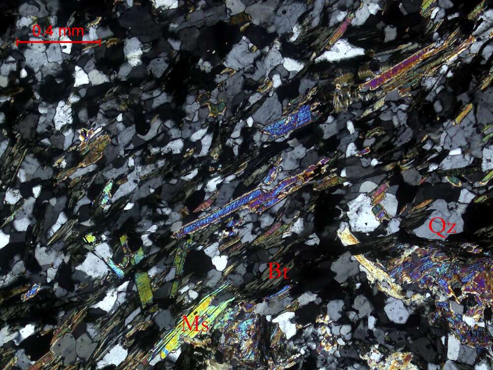 蚀变二云母片岩