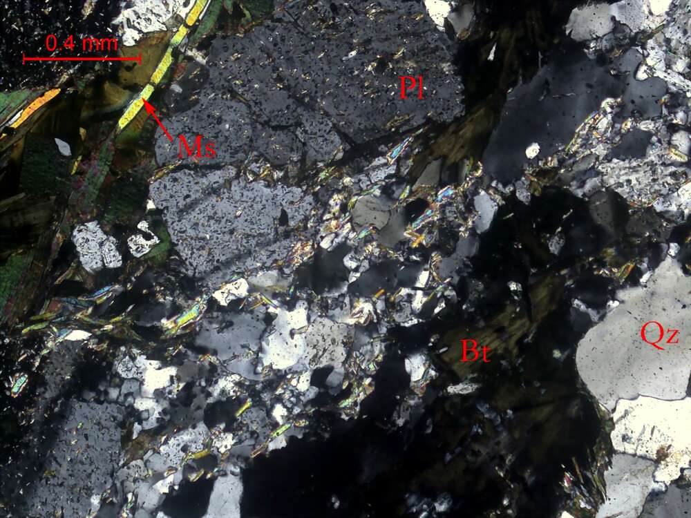 碎裂蚀变英云闪长岩