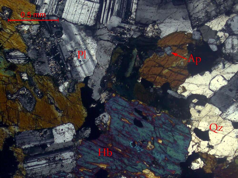 蚀变斜长角闪岩