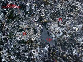 蚀变石英闪长玢岩