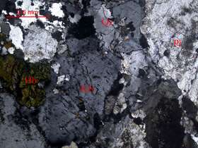 蚀变角闪二长花岗岩