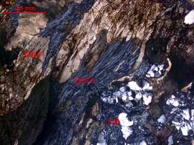 强菱镁矿化硅化蚀变超基性岩