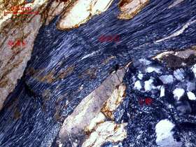 强菱镁矿化硅化蚀变超基性岩