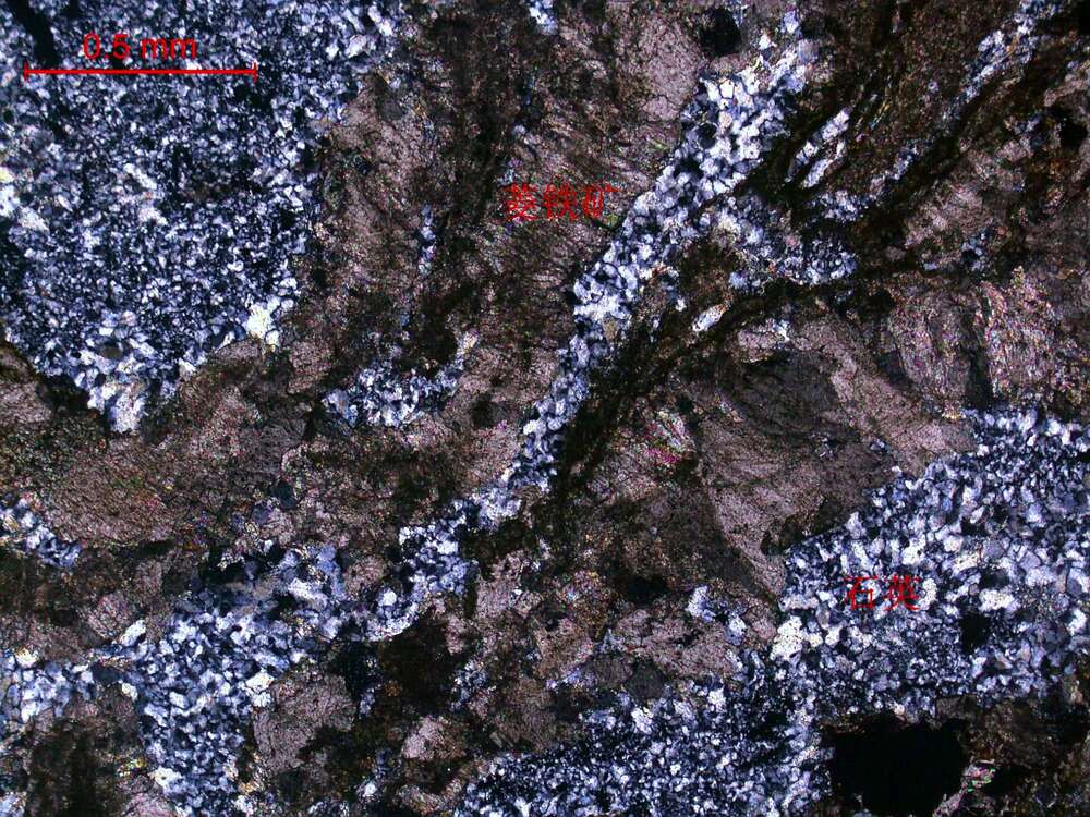 全菱铁矿化硅化超基性岩