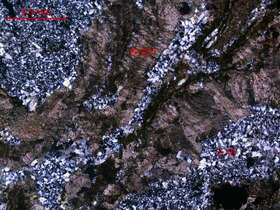 全菱铁矿化硅化超基性岩