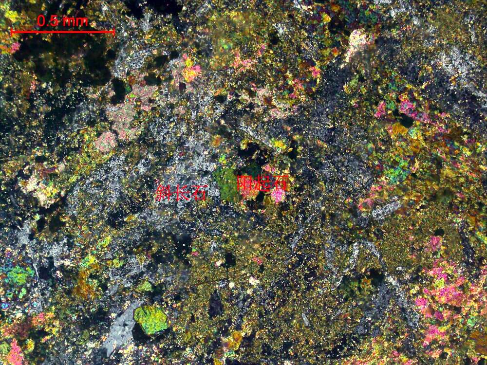 强阳起石化辉长岩