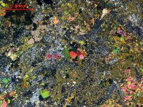 强阳起石化辉长岩