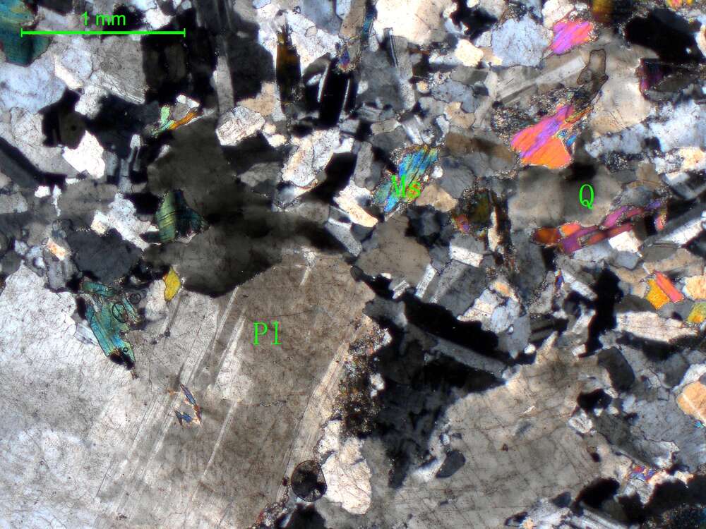 白云母斜长片麻岩