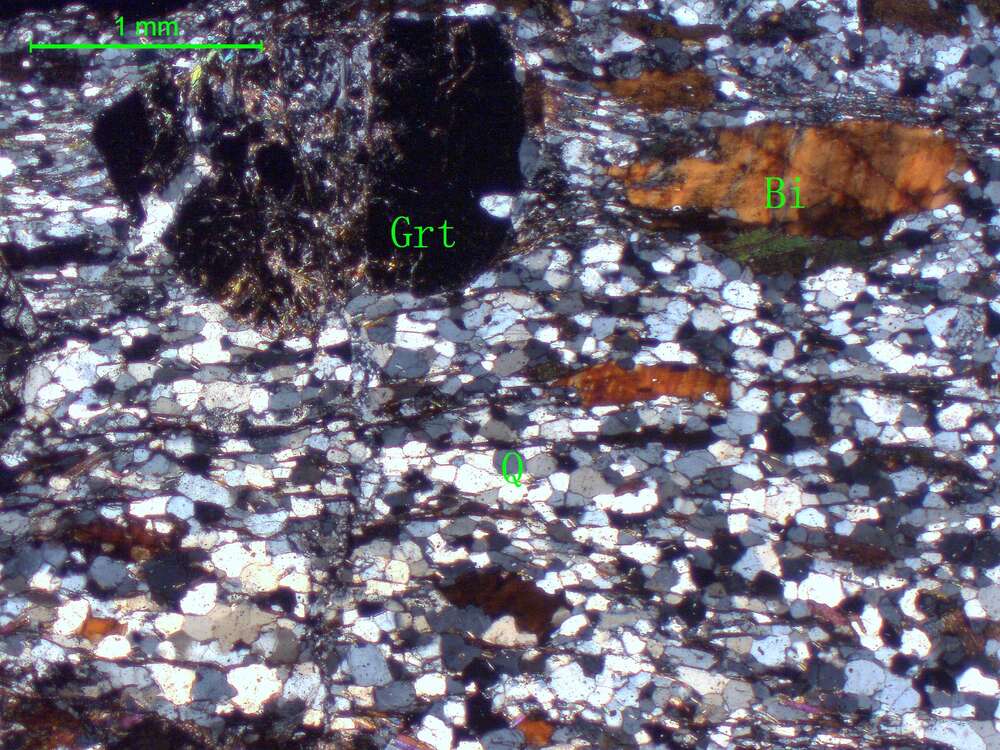 含地开石二云母斜长片麻岩