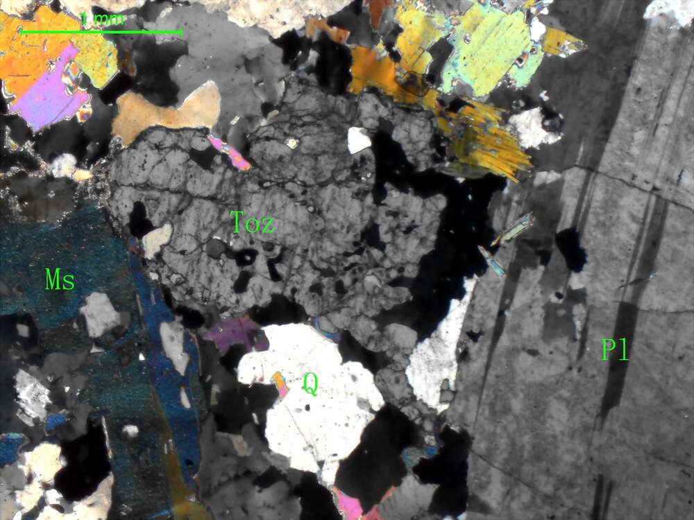 片麻岩化含黄玉白云母斜长花岗岩