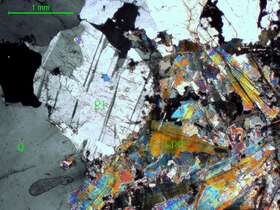 不等粒多硅锂云母斜长花岗岩