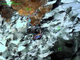 片理化含多硅白云母斜长花岗岩