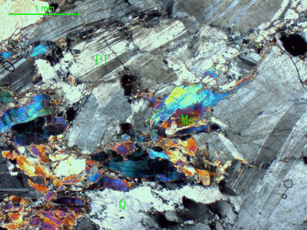 片理化不等粒斜长花岗岩