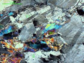 片理化不等粒斜长花岗岩