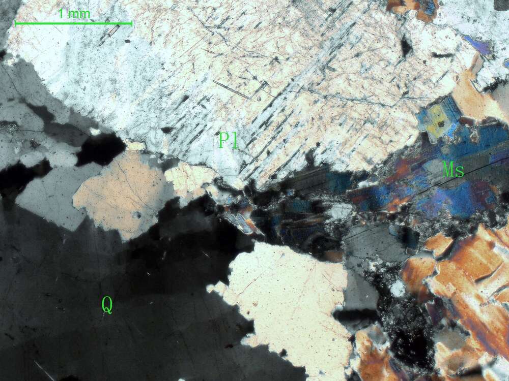 片麻岩化不等粒斜长花岗岩