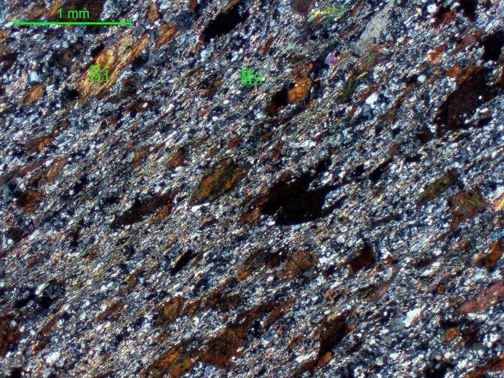 含地开石二云母斜长片麻岩