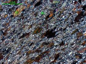 含地开石二云母斜长片麻岩