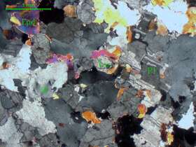 不等粒含黄玉、多硅锂云母斜长黄岗岩   