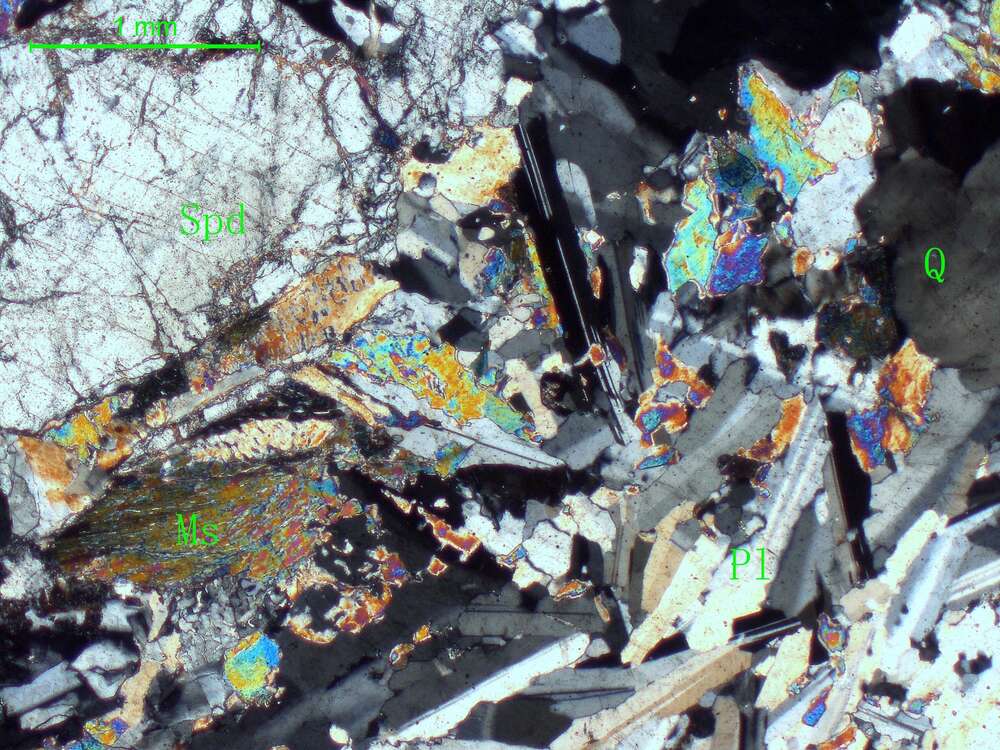 不等粒白云母斜长花岗岩