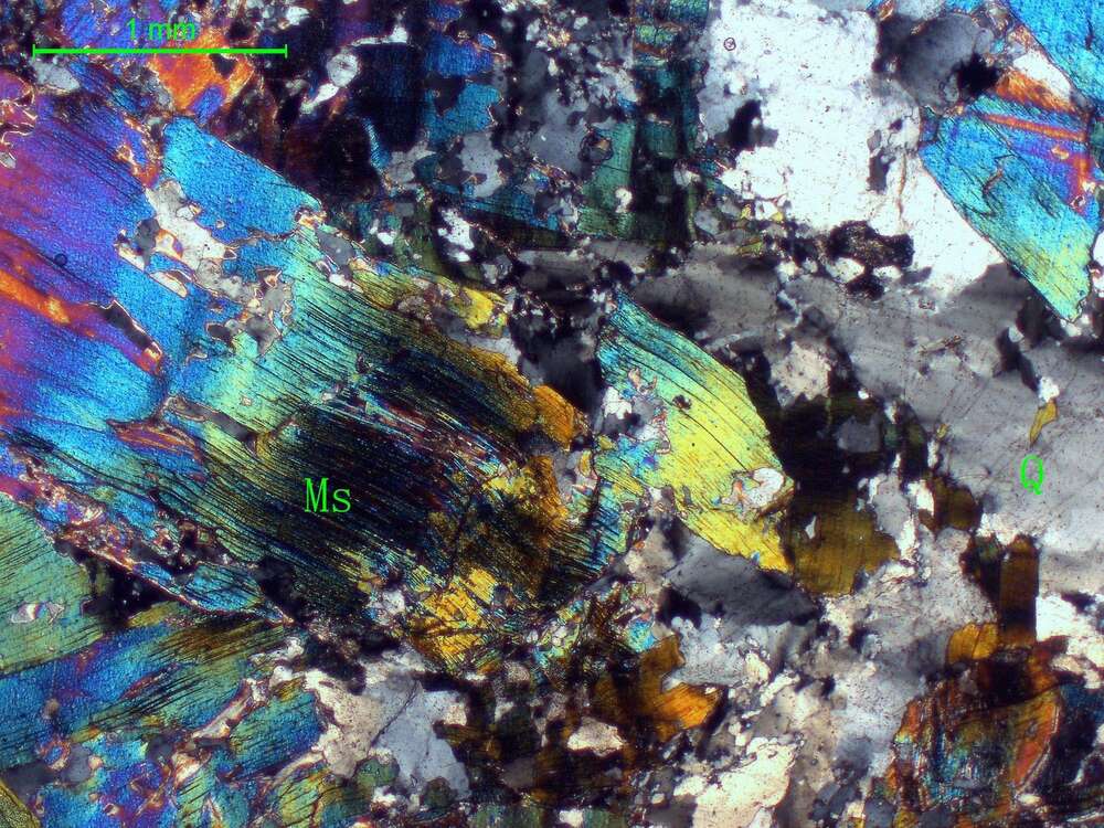 白云母石英蚀变岩（云英岩？）
