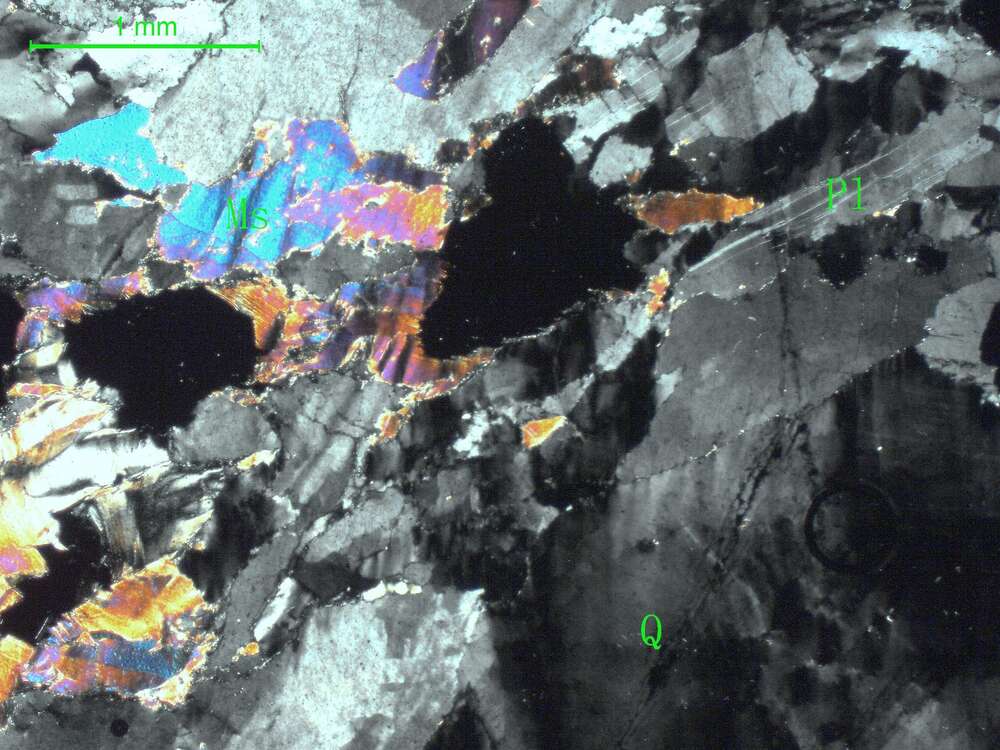 片理化白云母斜长片麻岩  