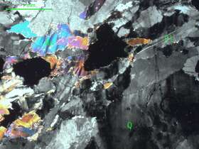 片理化白云母斜长片麻岩  