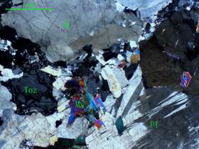 片麻岩化白云母斜长斑状花岗岩