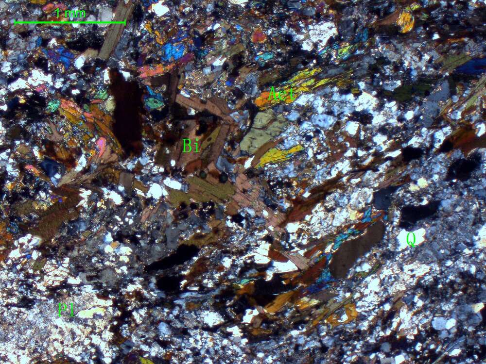 黑云母阳起石斜长片麻岩