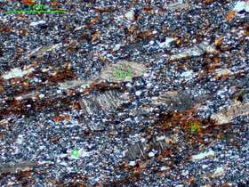 含钙质黑云母石英片岩  