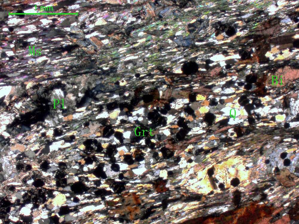 含绿柱石二云母斜长片麻岩   