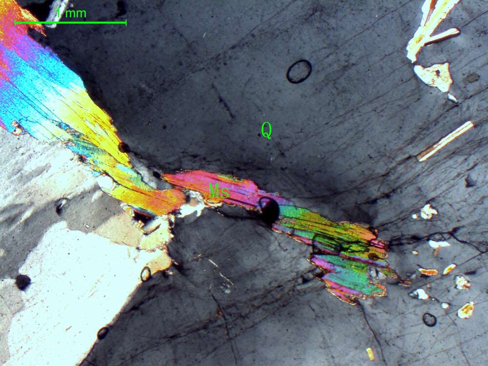 白云母斜长花岗伟晶岩 
