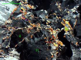 片理化白云母斜长花岗岩                            