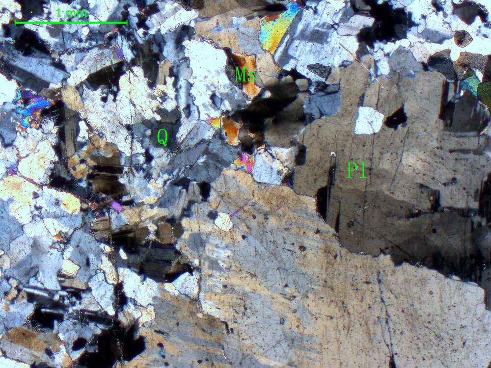 斑状斜长花岗岩