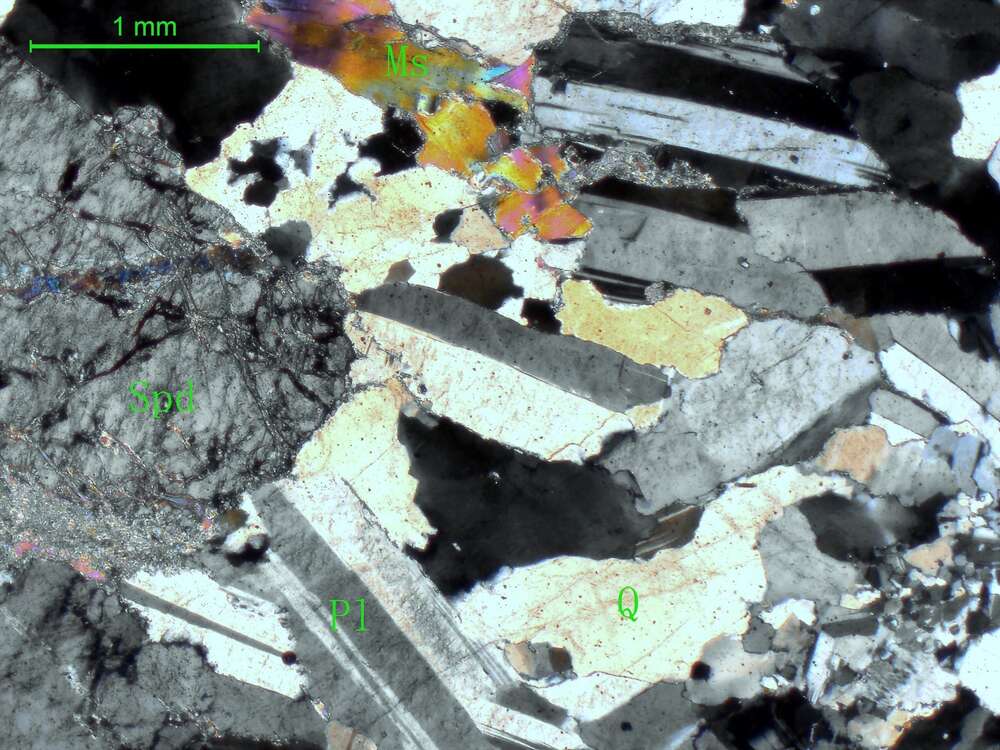 不等粒含锂辉石斜长花岗岩